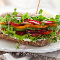 resep sandwich rendah kalori